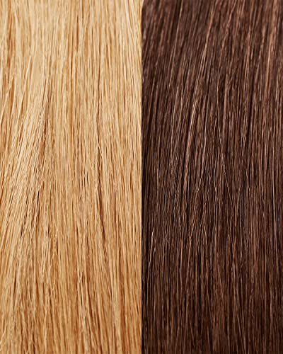 Maria Nila Color Refresh Cacao 10.1 Fl Oz – Warm Brown Color Mask for Color-Treated Hair