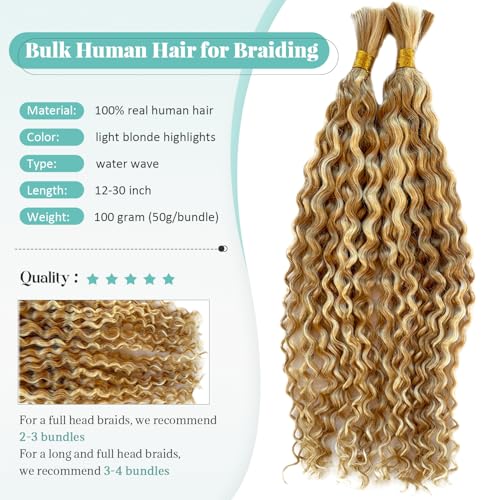 Water Wave Human Hair Extensions 18 Inch Ombre Strawberry Blonde with Highlights - No Weft, 2 Bundles