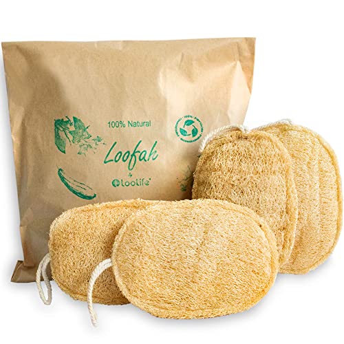 4 Pack Oval Natural Loofah Sponges - Exfoliating Body Scrubber for Shower