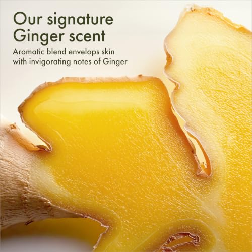 Origins Ginger Souffle Whipped Body Cream 11.8 Fl Oz Jumbo Size – Dry Skin Hydration