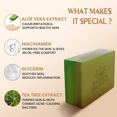 Scrub Soap with Salicylic Acid & Neem ? Exfoliating Body & Face Soap ? Enriched with Niacinamide, Tea Tree Extract, Neem, Salicylic Acid 110 g (Pack of 1)
