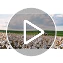 White Summer Lightweight Wool Comforter Twin Size - Breathable Australian Lamb Wool Duvet Insert