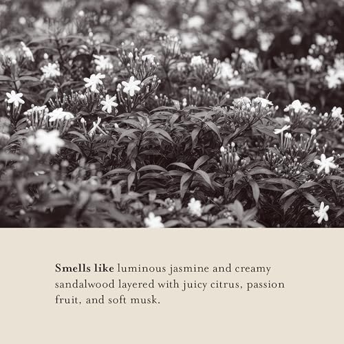 A LA MAISON French Liquid Hand Soap - Jasmine & Santal - Refillable 16.5oz in Amber Glass Bottle