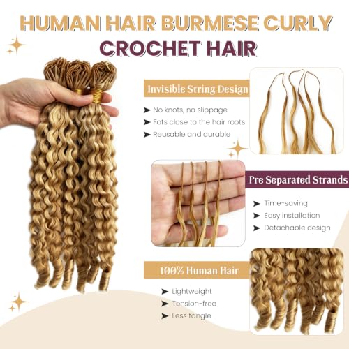 Pre-Separated Burmese Curly Crochet Hair Extensions - 22 Inch Light Blonde Highlights, Variation #27P613