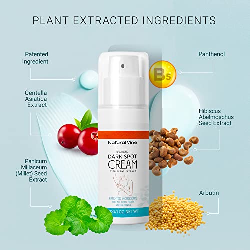 Natural Vine Dark Spot Corrector: Dark Spot Remover for Body in 4-8 Weeks - Instant Concealing & Age Brown Sun Faded Spot Remover Melasma Freckles Correcting with Niacinamide for Women & Men 30g