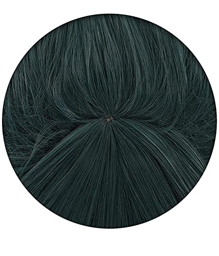 Anime Cosplay Wigs for Men and Women, Maki Zenin Style, High-Temperature Fiber, Detachable Ponytail, Natural Look