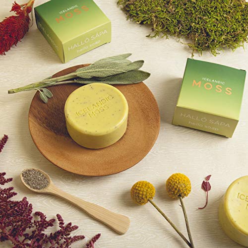 Exfoliating Soap Bars Set of 2 - Natural Icelandic Kelp & Moss Scents