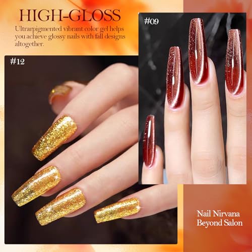 Cat Eye Gel Nail Polish Set, 12 Colors Velvet Cat Eye Gel Polish Magnetic Cateye Glass Effects Fall Winter Christmas Color Professional Use for Salon