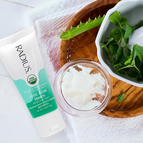 Mint Aloe Neem Organic Toothpaste 3oz Pack of 2 Natural Fluoride-Free Gum Care