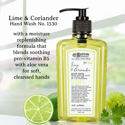 Moisturizing Hand Wash with Aloe Vera & Lime Coriander Set - Pack of 2, 10 fl oz
