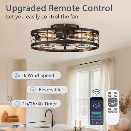 Black 19.7 Inch Caged Ceiling Fan with Light Remote Control Farmhouse Style