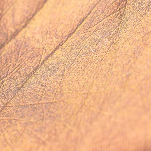 Flower Knows Midsummer Fairytales Multichrome Liquid Highlighter & Eyeshadow 03 Pixie Dream - 0.17 Fl Oz
