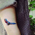 Temporary Tattoo Color Eagle Animal Tattoos Stickers Big Men Waterproof Body Arm Tattoos 5 Sheets
