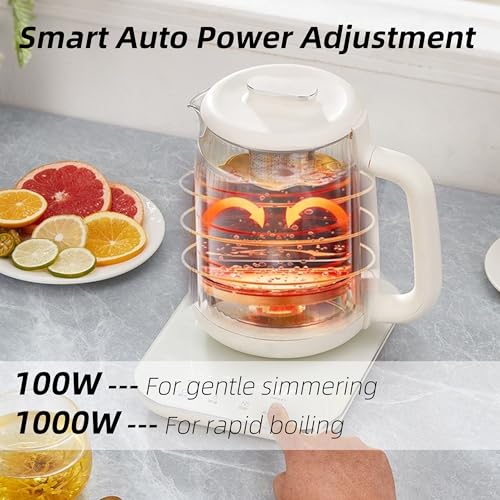 Double-Layer Glass Electric Kettle 1.5L with Stew Pot & Touch Panel - Multi-Function Tea & Soup Maker