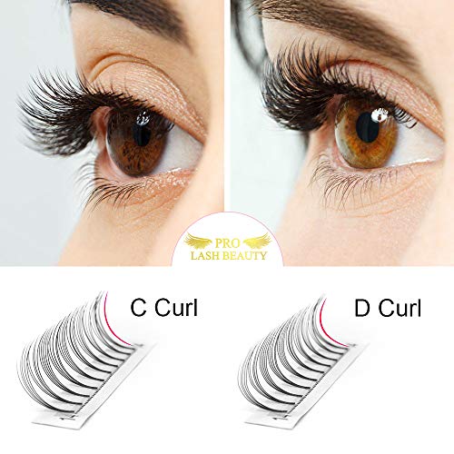 PRO LASHBEAUTY Premade Fans Eyelash Extensions 5D-D-0.10-12 Black PTB Vegan Volume Lash Extensions 9 to 20 mm Pair