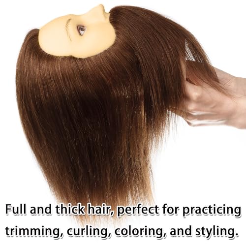 Brown Male Mannequin Head with Beard 100% Human Hair for Cosmetology Training