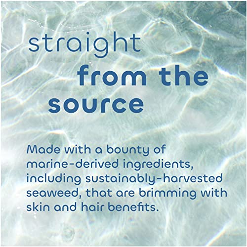 Seaweed Bath Co. Body Wash and Body Cream Duo, 12 Ounce, 6 Ounce, Orange Cedar Scent, Sustainably Harvested Seaweed