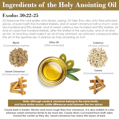 Sacred Anointing Oil with Myrrh, Cinnamon & Olive Oil - Biblical Spiritually Inspired 1 fl oz