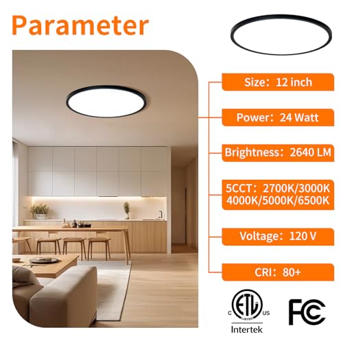 Black 12-Inch LED Flush Mount Ceiling Light - 24W Dimmable, 5 CCT Options, Slim Profile for Bedroom Kitchen Hallway