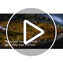 10-Inch Hard-Anodized Induction Skillet with Lid - Nonstick Frying Pan