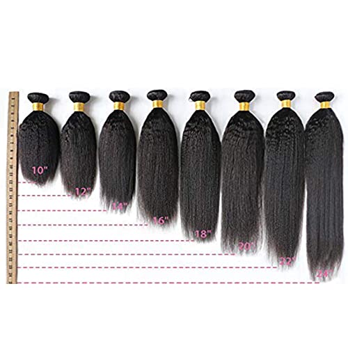 DaiMer Kinky Straight Human Hair Bundles - 16 Inch Unprocessed Brazilian Virgin Hair - 1 Bundle