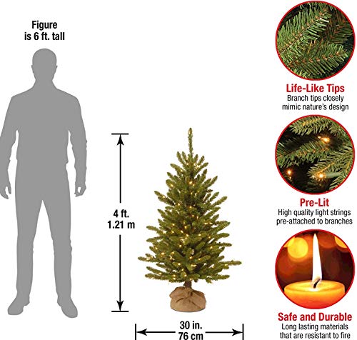 4ft Pre-Lit Artificial Christmas Tree with Hinged Branches - Green, Full Profile, Indoor Decor - Variation of Trees