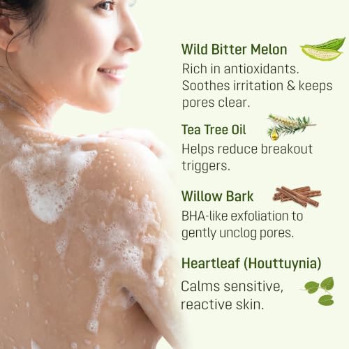 ABERA A.1 Box Folliculitis Body Wash with Wild Bitter Melon & BHA, 10.14 oz