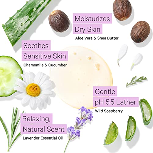 Lavender Shea Body Lotion & Gentle Lavender Body Wash for Sensitive Dry Skin