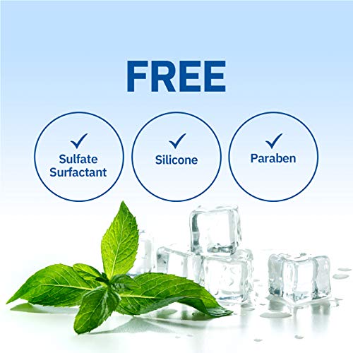 Cool Mint Shampoo for Dry Hair with Menthol - Scalp Relief & Refreshment, 16.9 fl oz