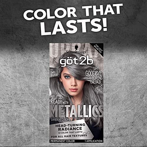 Got2B Metallics Permanent Hair Color Duo - Dusty Silver & Silver