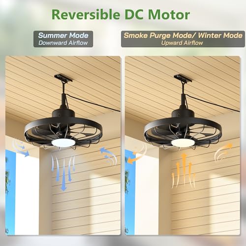 Niitawm Black 20'' Outdoor Ceiling Fan with Light, Waterproof Remote & App Control