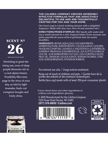 Lavender Cedar Leaf Hand Soap Refill – Aloe Vera, Olive Oil & Essential Oils, 32 Oz – Pack of 1
