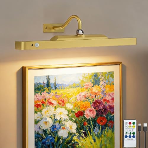 Rechargeable Motion Sensor Picture Light - Gold Wall Mount, 1 Pack - Dimmable, Remote Control