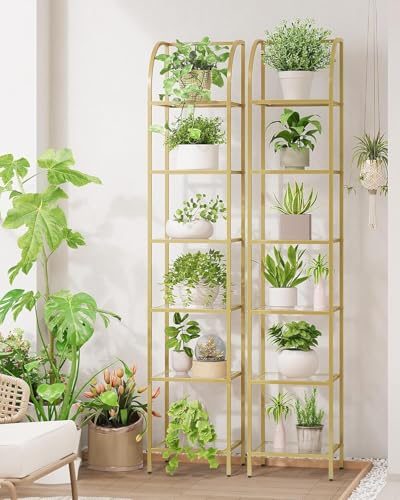 Gold 6-Tier Glass & Steel Arched Bookcase - Space-Saving Shelving Unit - 11.8 x 13.8 x 70.3 Inches