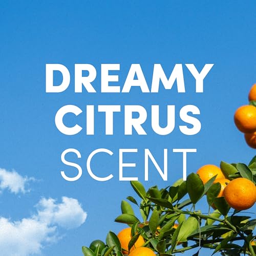 Clean Revolution Foaming Hand Soap Dreamy Citrus 15oz Pack of 3 - Gentle & Eco-Friendly