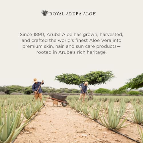 Aruba Aloe Hydrating SPF 30 Sunscreen Lotion 6 oz - Broad-Spectrum Water-Resistant Sunblock for Face & Body