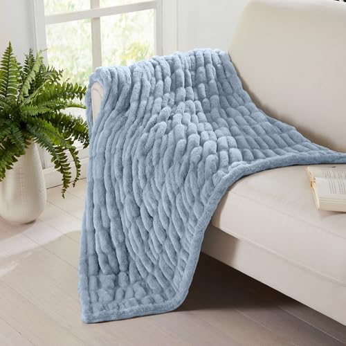 Powder Blue Micro Plush Throw Blanket - Thick Faux Fur, 50x60 Inches
