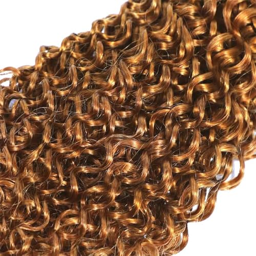 Light Brown Human Hair Bundles - Curly Brazilian Virgin Hair Pack 10 12 14 Inch
