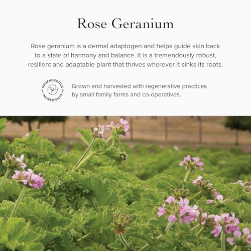 Organic Floral Face Toner - Hydrating Hydrosol with Rose, Lavender & Lemon Verbena