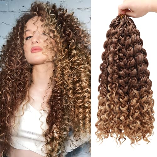 Pre Looped GoGo Curl Crochet Hair 24 Inch - 8 Packs, 33/27 Variation