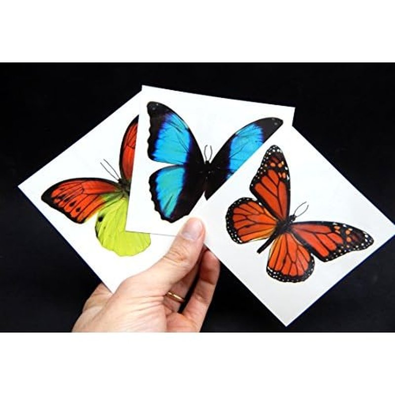 Large Butterfly Temporary Tattoos by Butterfly Utopia (12 Sheets)
