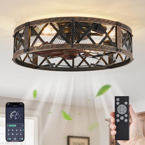20-Inch Black Gold Caged Farmhouse Ceiling Fan with Light - Flush Mount