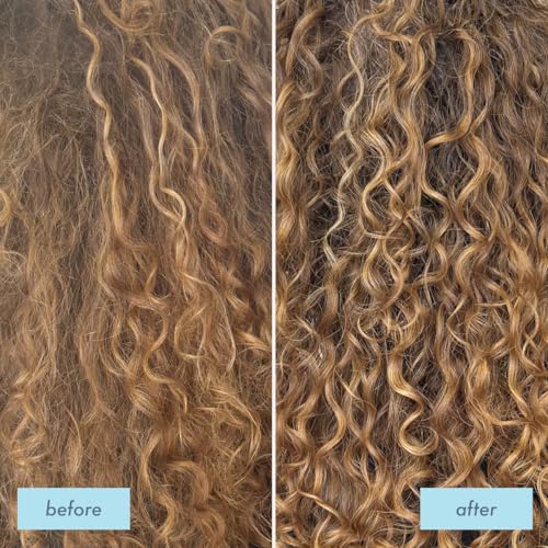 Moisturizing Curl Styling Gel for All Curl Types - 16oz - Anti Frizz & Soft Definition