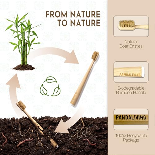 Boar Hair Hard Bristle Bamboo Toothbrush 5 Pack - Natural Organic, Eco-Friendly, Quick Dry