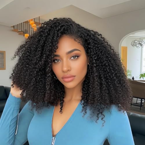 16 Inch Human Hair Lace Front Wigs Afro Kinky Curly 13x6 HD Glueless Wig - Natural Look