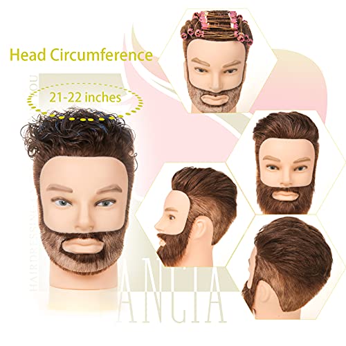 Male Mannequin Head with 14 Inch Human Hair for Barber Training & Styling