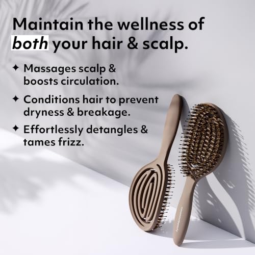 Boar's Hair Wellness Hair Brush - Soft Taupe, Detangles & Scalp Massage