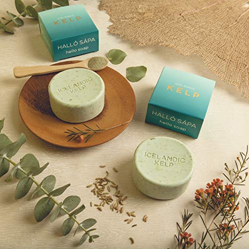 Exfoliating Soap Bars Set of 2 - Natural Icelandic Kelp & Moss Scents