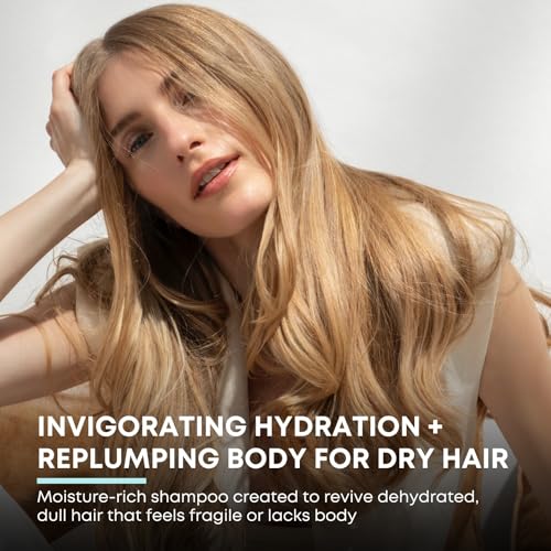 Artègo Rain Dance Oasis Rejuvenating Shampoo 10.2 oz – Hydrating Voluming Shampoo for Dehydrated, Dull Hair