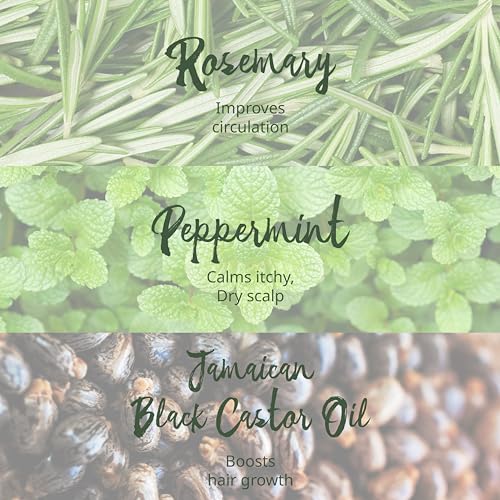 Tropic Isle Living Rosemary Mint Leave-In Conditioner 8oz/ 237ml - Detangles, Moisturizes, Repairs Scalp and Damaged Hair with Natural Formula, Suitable for All Hair Types, Cruelty-Free